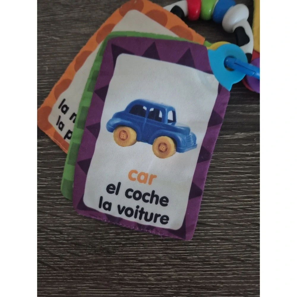 BABY EINSTEIN Take Along Discovery Cards Clip-on 10 Images Crinkle Teether Toy.